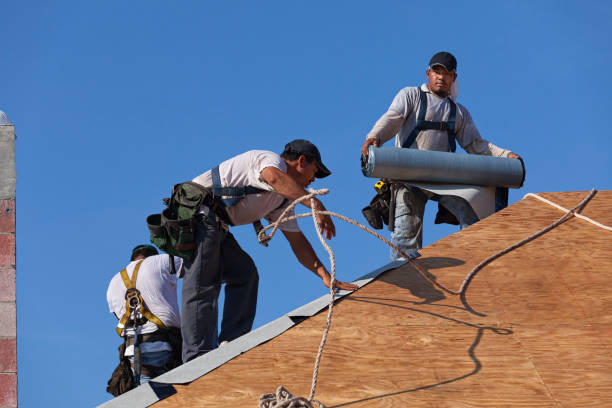 Best Roof Waterproofing Services  in Shenandoah, LA